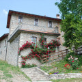 Cavallo Grigio