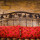 preview image6 esterno