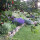 preview image6 giardino