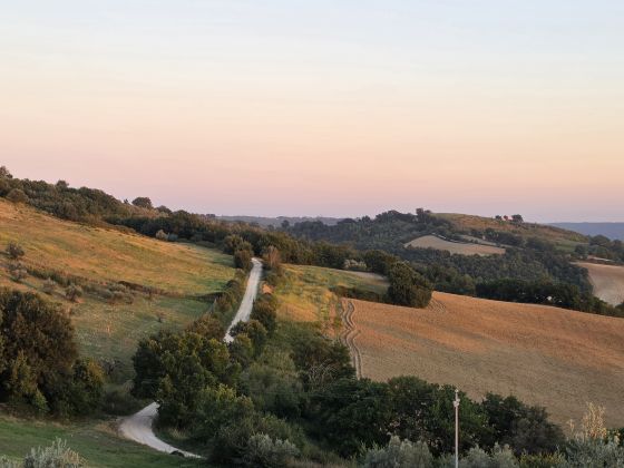Poggio Del Bolognino - foto 33