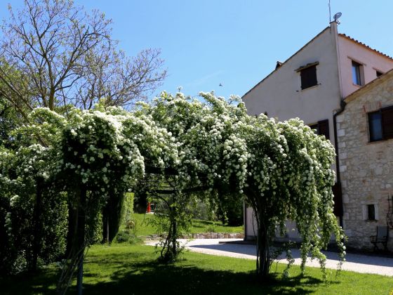 Poggio Del Bolognino - foto 36
