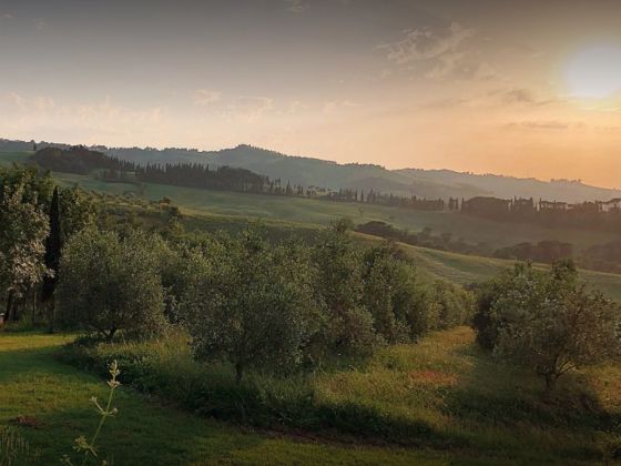 Sant' Emilia - foto 10