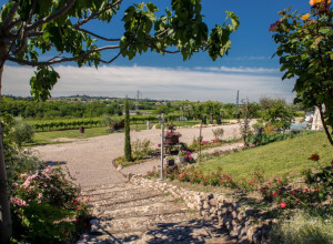 image26  Le Mistral