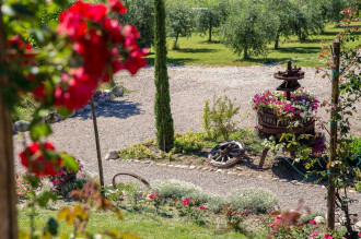 image1  Le Mistral