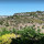 preview image7 panorama