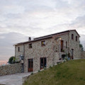 Il Selvatico