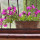 preview image6 esterno
