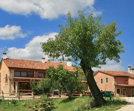 Farm-house Monte Degli Aromi - Villaga