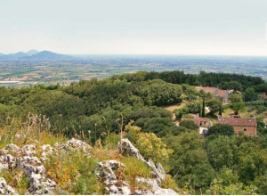 image4 Monte Degli Aromi