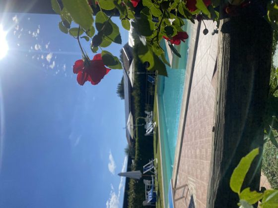 Le Stringaie foto esterno 8