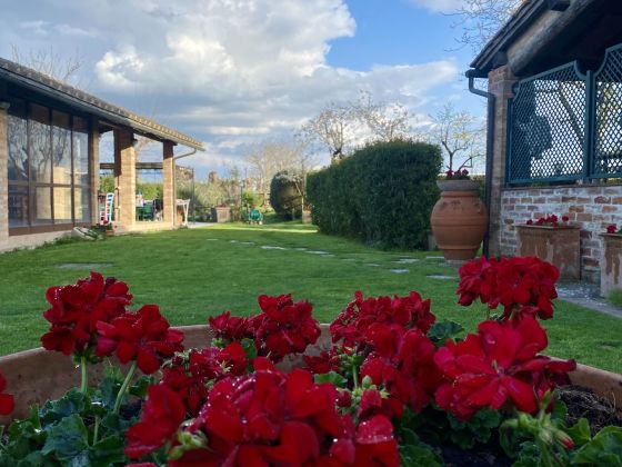 Le Stringaie foto esterno 7