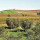 preview image1 esterno