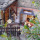 preview image1 esterno