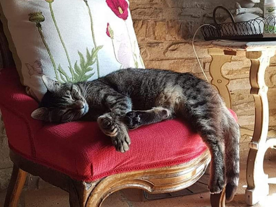 Terra Antica foto esterno 13