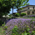 Giucalem La Casa Negli Orti