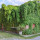 preview image8 esterno