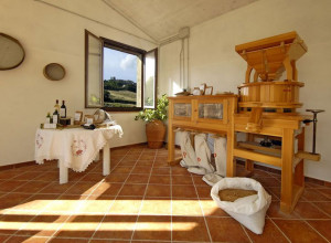 image7 San Nicolò