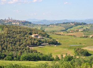 image6 Fattoria Voltrona