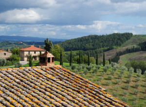 image4 Fattoria Voltrona