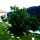 preview image13 esterno