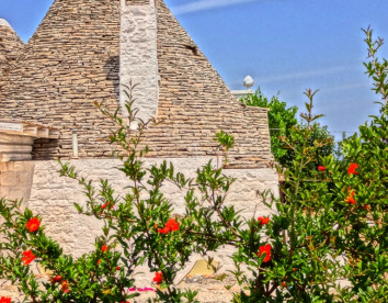 masseria rosa relais in trulli