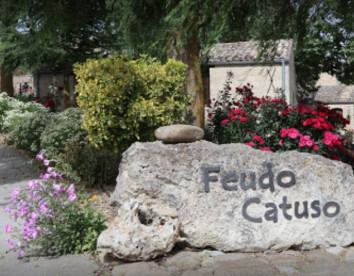 Feudo Catuso