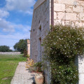 Case Di Cutalia