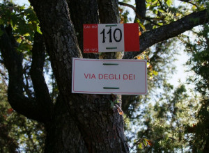 image10 Piccola Raieda