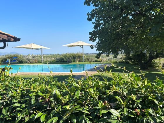 Casali Della Parata - foto 15