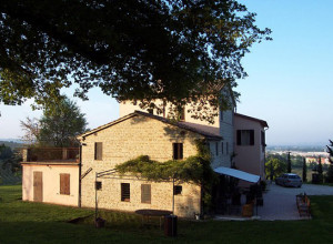 image0 Oliodivino