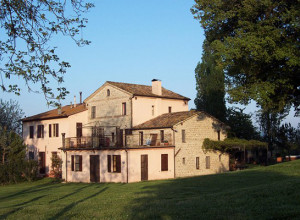 image11 Oliodivino