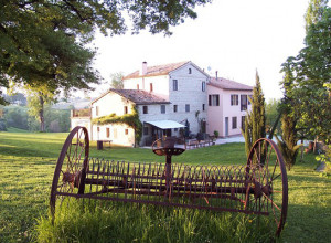 image13 Oliodivino