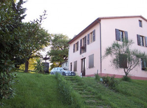 image12 Oliodivino