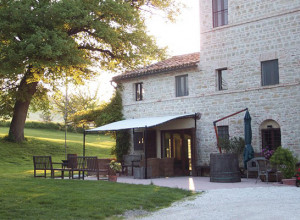 image25 Oliodivino
