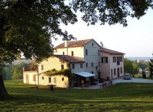 image0 Oliodivino