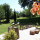 preview image16 giardino