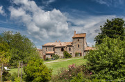 Pulicaro