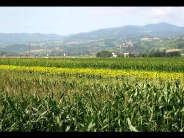 Video Ciato
