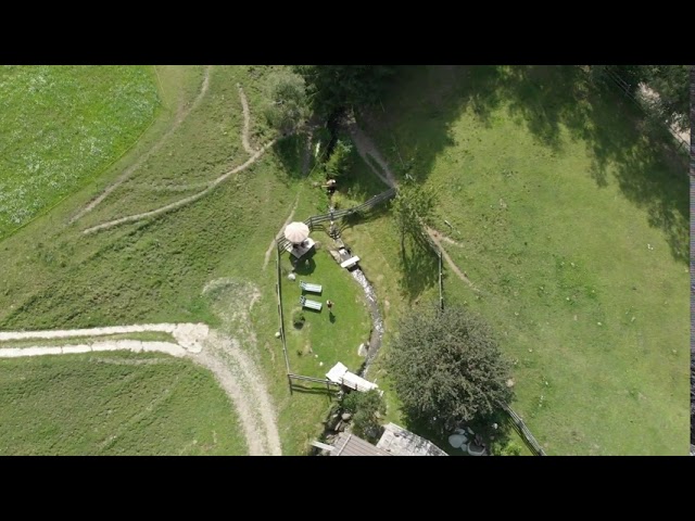 Video Wieshof 