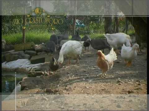 Video Zio Cristoforo