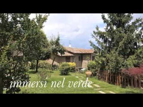 Video  Il Palazzo