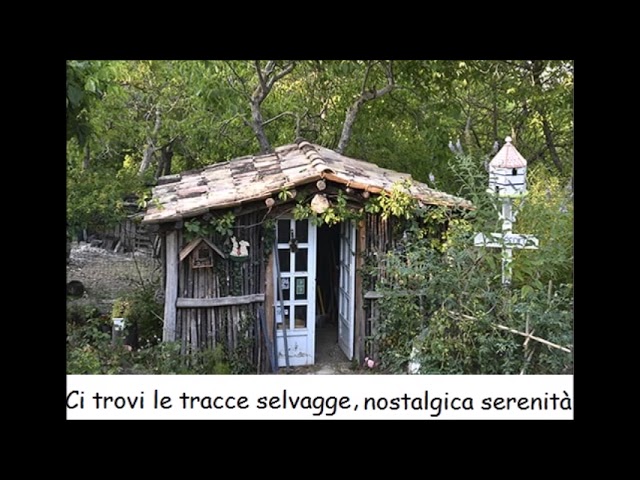 Video Laperegina