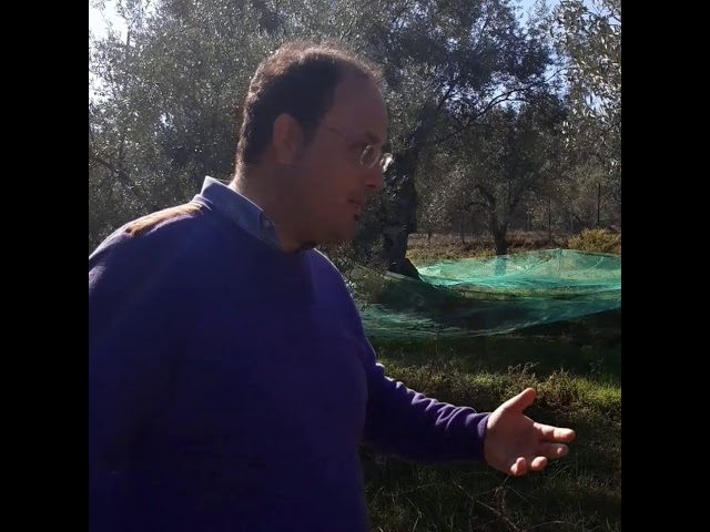 Video Vulcano