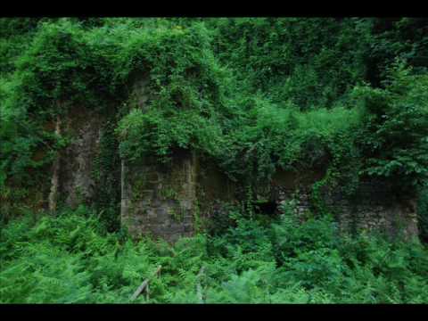 Video Casa Scola