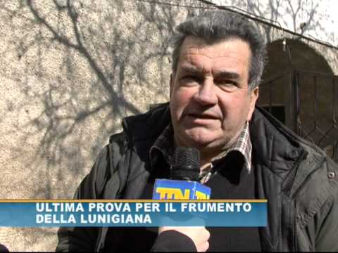 Video Cà Del Lupo