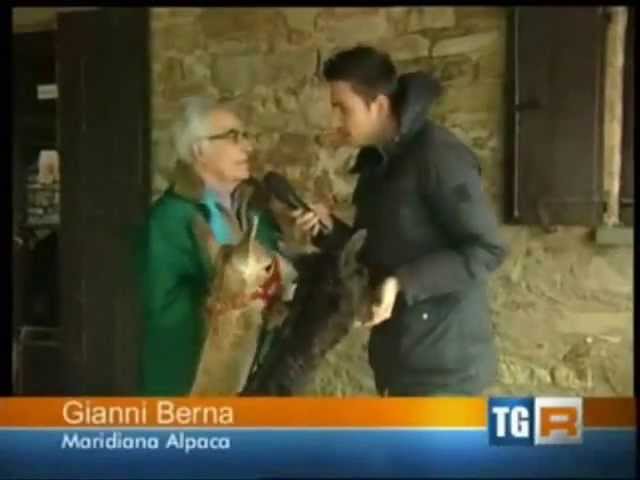 Video Maridiana Alpaca